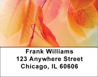 Fall colors Address Labels | LBQBG-51
