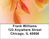 Fall colors Address Labels | LBQBG-51