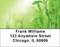 Balance And good Fortune Address Labels | LBQBI-19