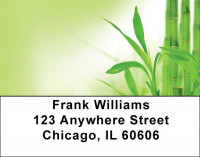 Balance And good Fortune Address Labels | LBQBI-19