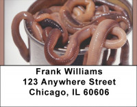 Can Of Worms Address Labels | LBQBI-41