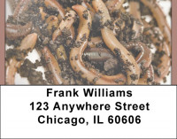 Can Of Worms Address Labels | LBQBI-41