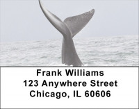 Fish Tales Address Labels | LBQBI-65