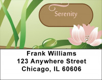 Lessons Address Labels | LBQBI-71