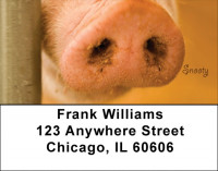 Snooty Address Labels | LBQBI-97