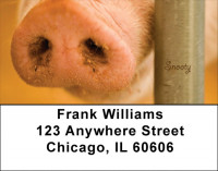 Snooty Address Labels | LBQBI-97