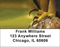 Eagle Talon Address Labels | LBQBJ-09