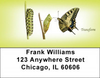 Transcend Address Labels | LBQBJ-26