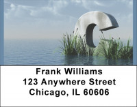 Letter C In The Sea Address Labels | LBQBK-40