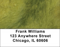 Green Softness Address Labels | LBQBM-40