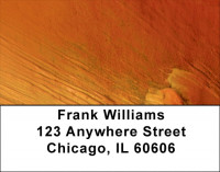 Paint It Hot Address Labels | LBQBM-41