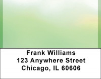 Green Fog Address Labels | LBQBN-71
