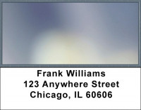 Points Of Softness Address Labels | LBQBN-77