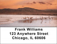 Beach Birds Address Labels | LBQBP-01