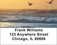 Beach Birds Address Labels | LBQBP-01