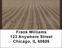 Have A Field Day Address Labels | LBQBP-22