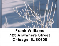 Winter Frost Address Labels | LBQBP-81
