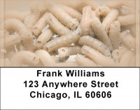 Disgusting Maggots Address Labels | LBQBP-96