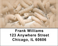 Disgusting Maggots Address Labels | LBQBP-96