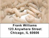 Disgusting Maggots Address Labels | LBQBP-96