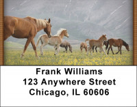 Horses On High Plains Address Labels | LBQBR-18