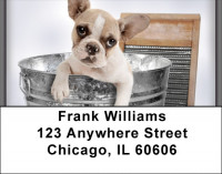 Frenchie Bathtime Address Labels | LBQBR-33