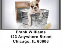 Frenchie Bathtime Address Labels | LBQBR-33