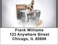 Frenchie Bathtime Address Labels | LBQBR-33