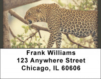 Cheetah Fun Address Labels | LBQBR-35