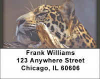 Cheetah Fun Address Labels | LBQBR-35
