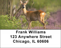 Deer Delights Address Labels | LBQBR-49