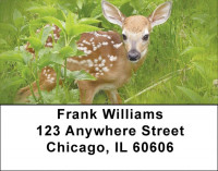 Deer Delights Address Labels | LBQBR-49