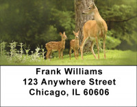 Deer Delights Address Labels | LBQBR-49