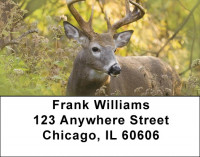 Deer Delights Address Labels | LBQBR-49