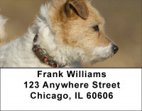 Fox Terrier Address Labels | LBQBR-56