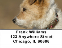 Fox Terrier Address Labels | LBQBR-56