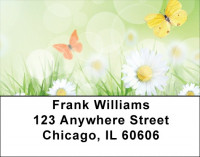 Celebrating Transformation Address Labels | LBQBS-01