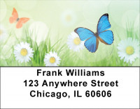 Celebrating Transformation Address Labels | LBQBS-01