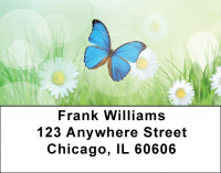 Celebrating Transformation Address Labels | LBQBS-01