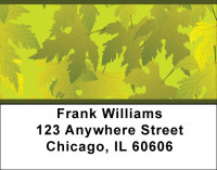 Leaves Of Gold Address Labels | LBQBS-17