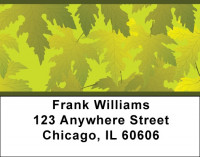 Leaves Of Gold Address Labels | LBQBS-17