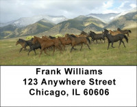 Wild And Free Address Labels | LBQBS-40