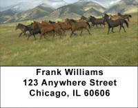 Wild And Free Address Labels | LBQBS-40