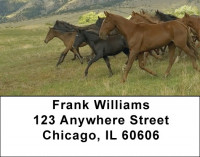 Wild And Free Address Labels | LBQBS-40