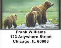 Bears in the Wild Address Labels | LBZANI-10