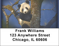 Panda Bears Address Labels | LBZANI-11