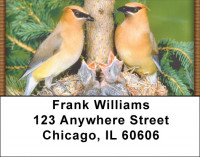 Baby Birds Address Labels | LBZANI-16