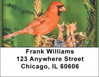 Baby Birds Address Labels | LBZANI-16
