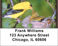 Baby Birds Address Labels | LBZANI-16