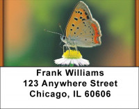 Butterflies in Nature Address Labels | LBZANI-17
